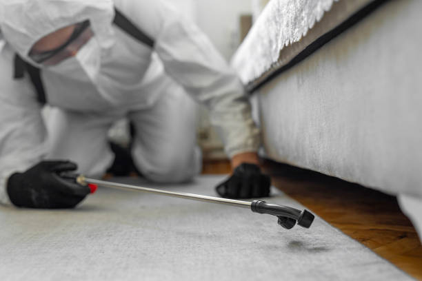 Professional Bed Bug Control technician working in Ouachita County County, AR
